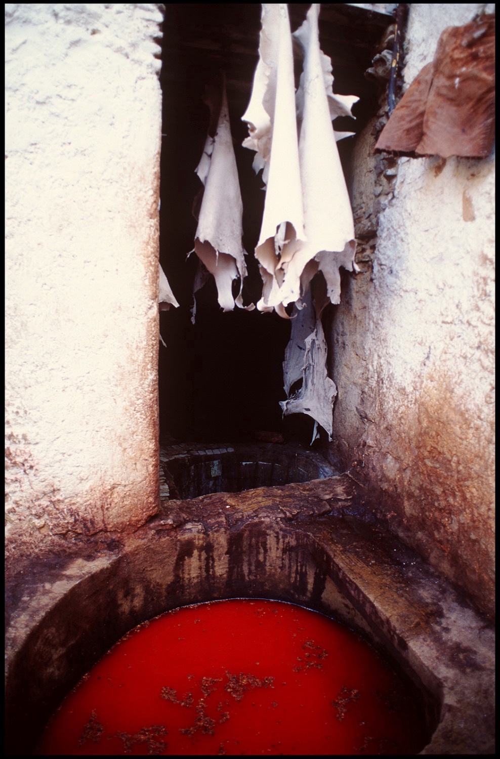 Gallery image 0016