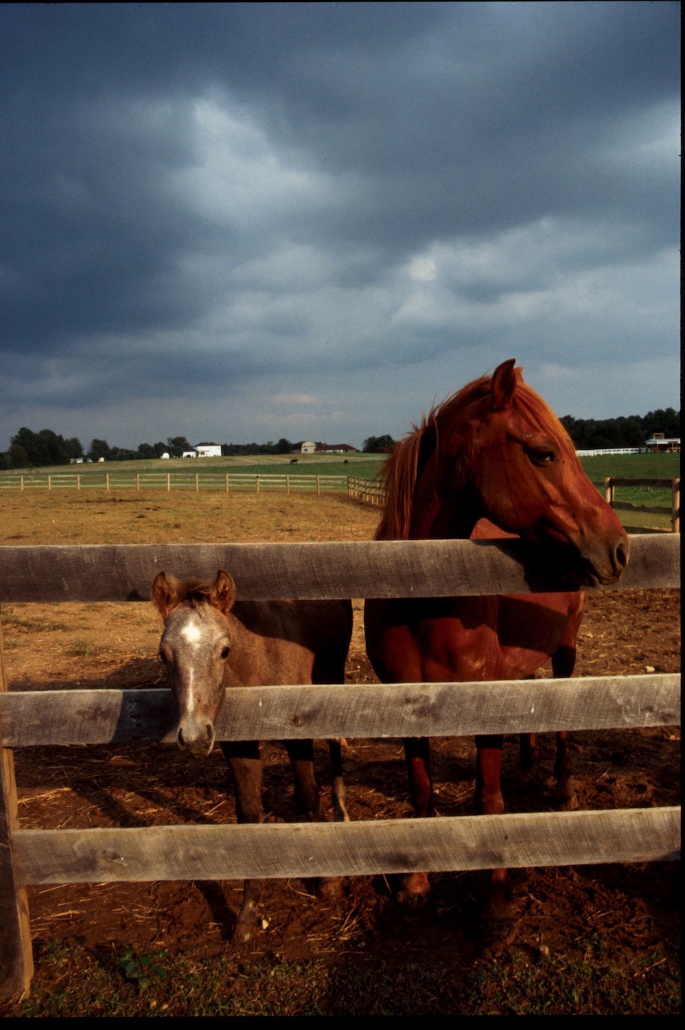 Gallery image 0045